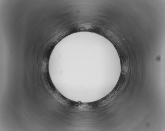 X0000097300468200803141536
