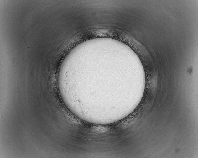 X0000097300469200803141536