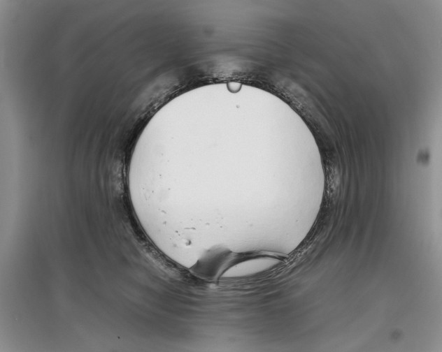 X0000097300470200803141536