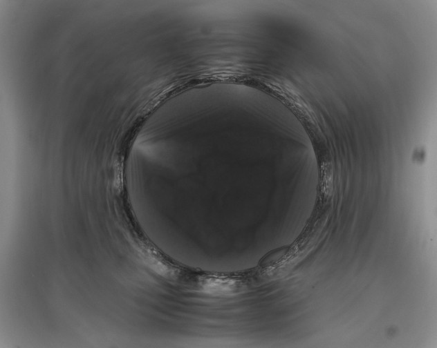 X0000097300471200803141536