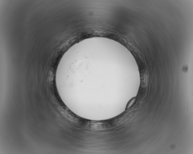 X0000097300472200803141536