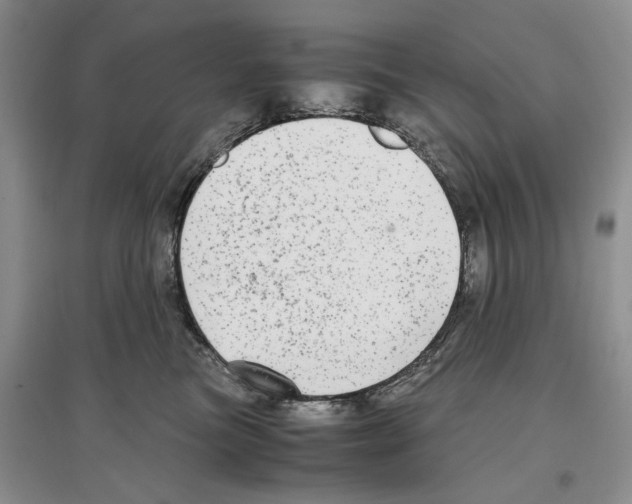 X0000097300473200803141536