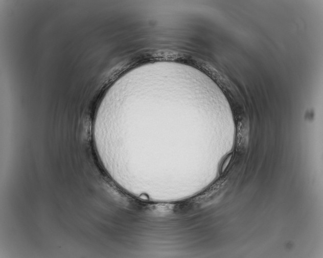X0000097300474200803141536
