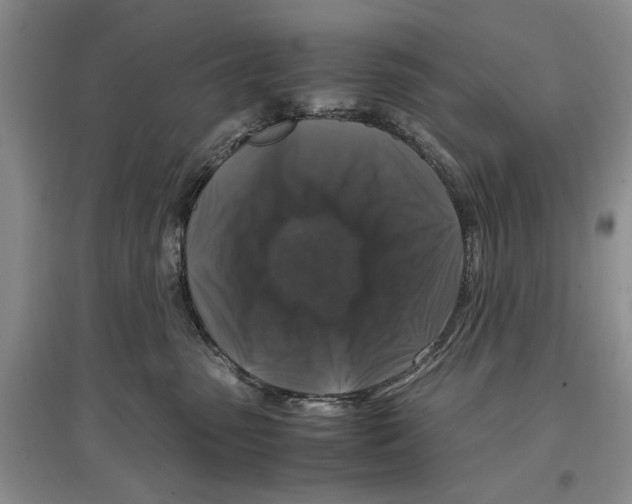 X0000097300475200803141536