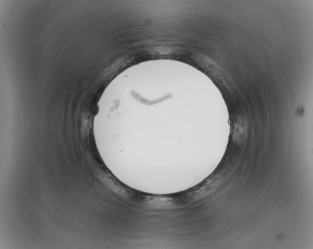 X0000097300476200803141536