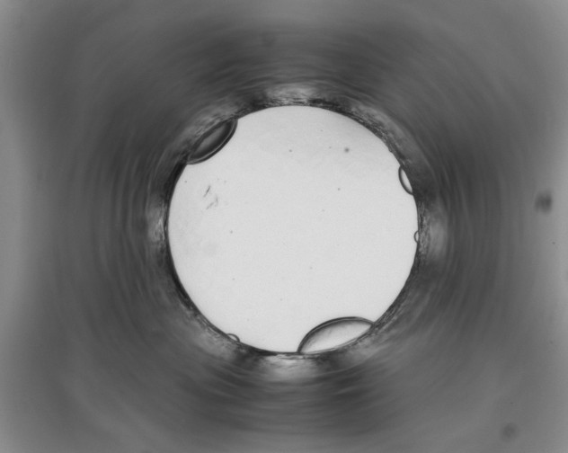 X0000097300477200803141536