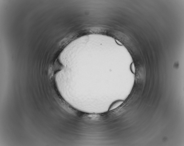 X0000097300478200803141536