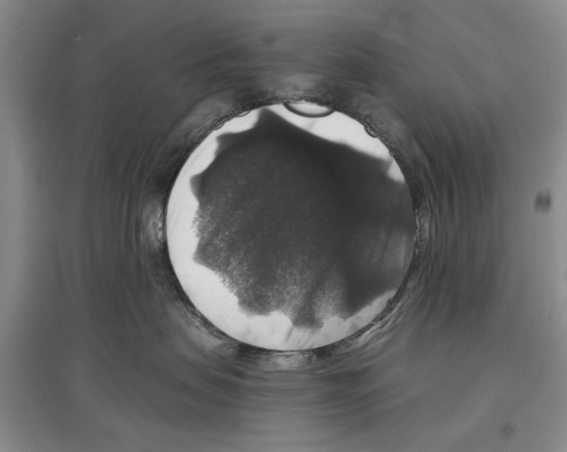 X0000097300479200803141536