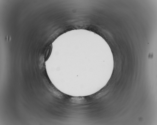 X0000097300480200803141536
