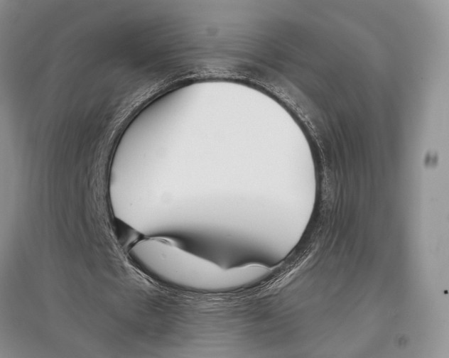 X0000097300481200803141535