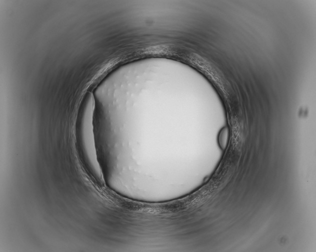 X0000097300482200803141535