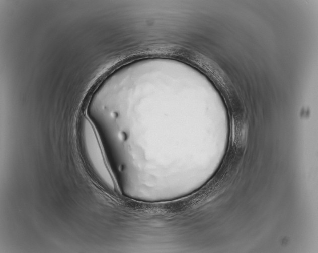 X0000097300483200803141535