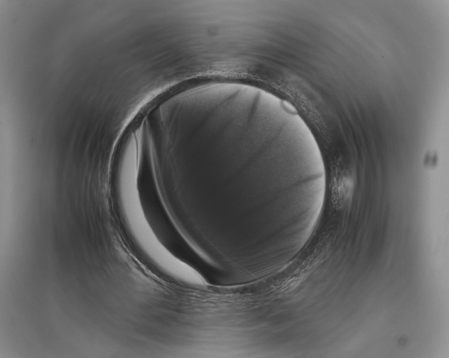 X0000097300484200803141535