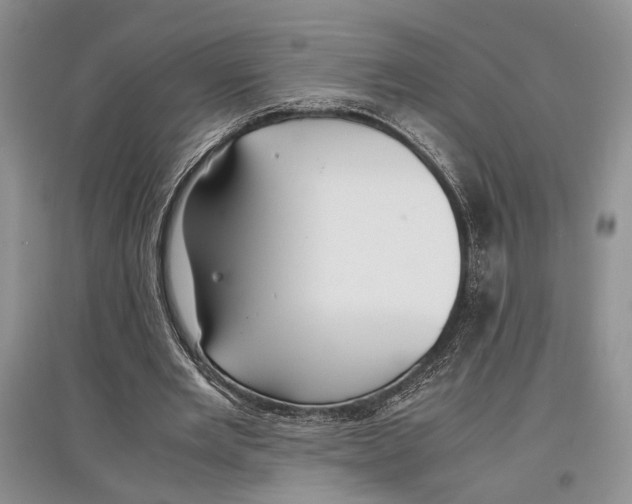 X0000097300485200803141535