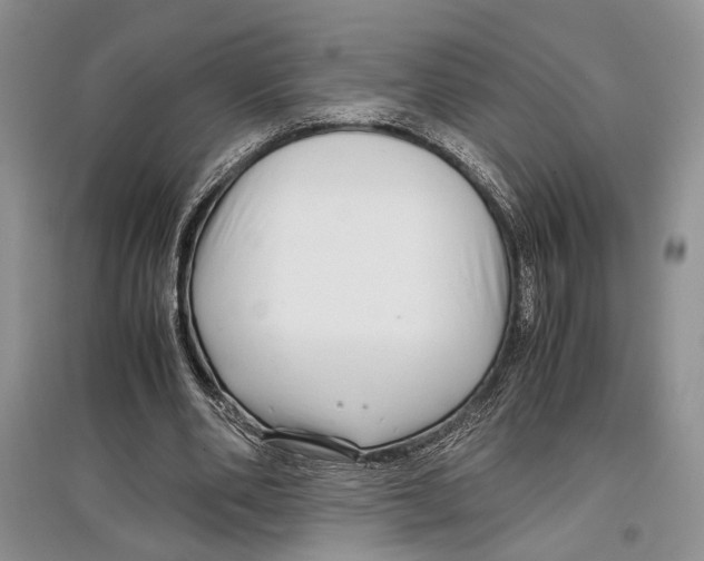 X0000097300486200803141535