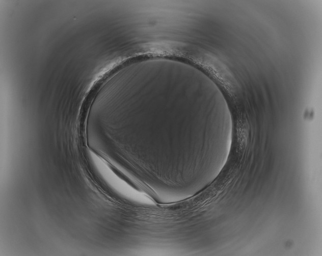 X0000097300488200803141535