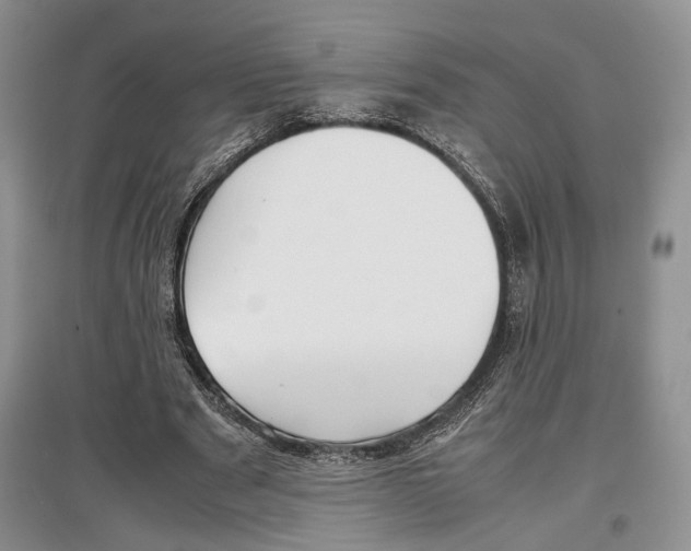 X0000097300489200803141535