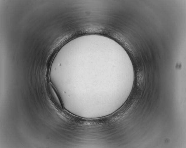 X0000097300490200803141535