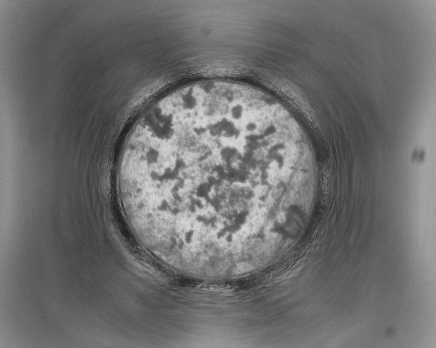 X0000097300491200803141535