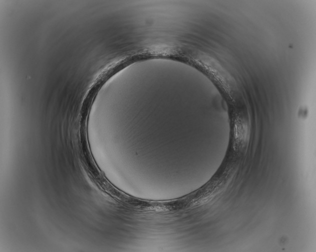 X0000097300492200803141535