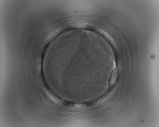 X0000097300493200803141535
