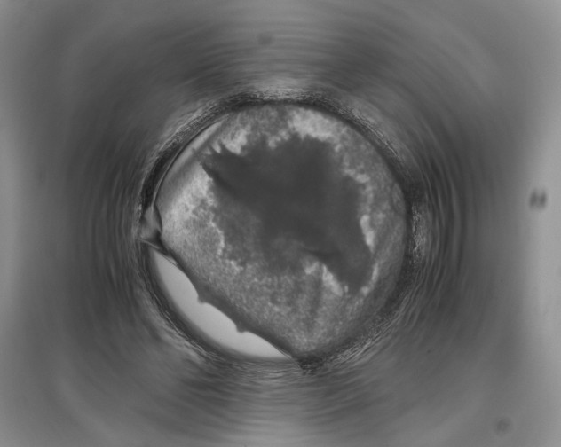 X0000097300494200803141535