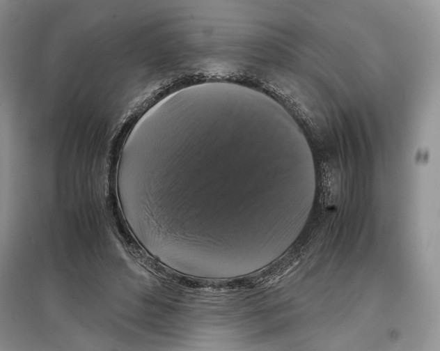 X0000097300496200803141535