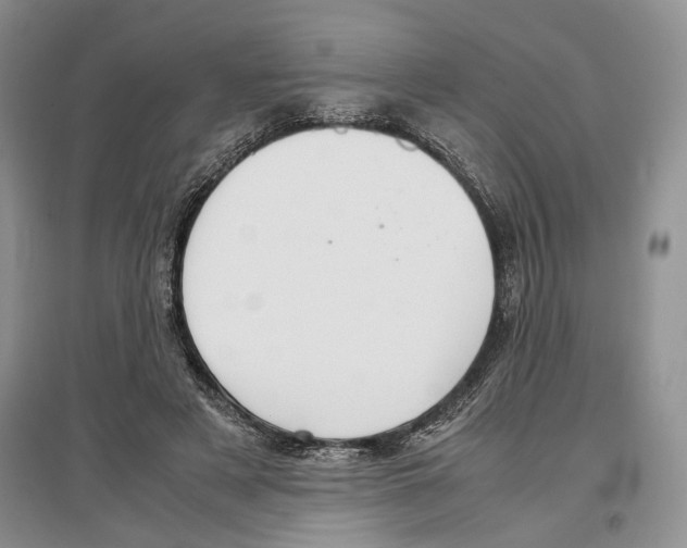 X0000097300497200803141535