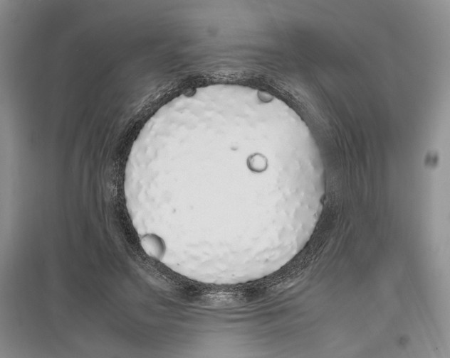 X0000097300499200803141535