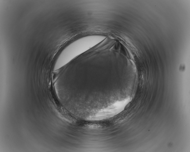 X0000097300500200803141535