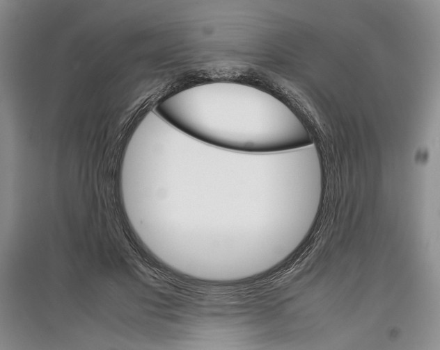 X0000097300501200803141535