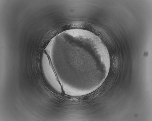 X0000097300502200803141535