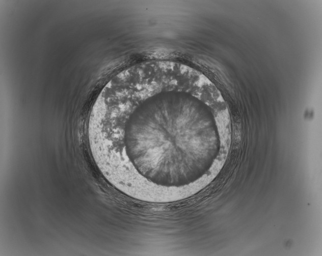 X0000097300503200803141535
