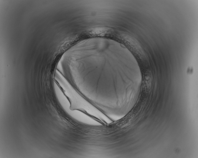 X0000097300504200803141535