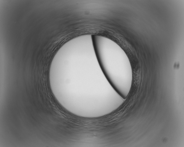X0000097300505200803141535