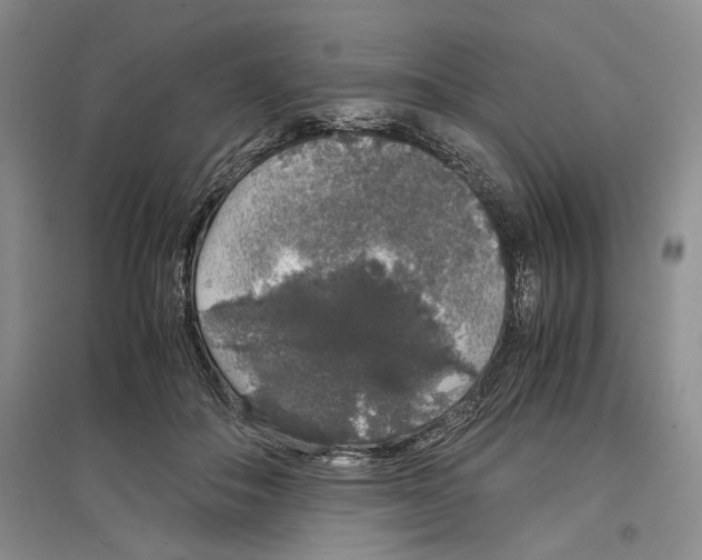 X0000097300506200803141535