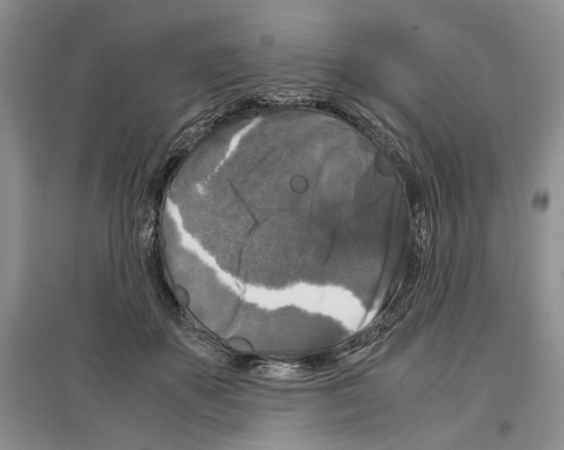 X0000097300507200803141535