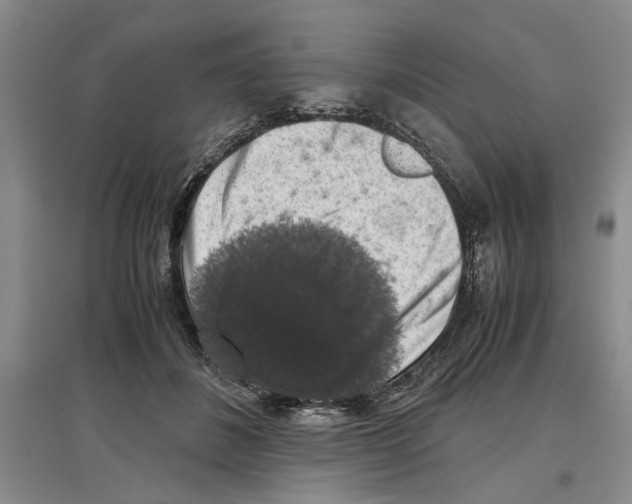 X0000097300508200803141535
