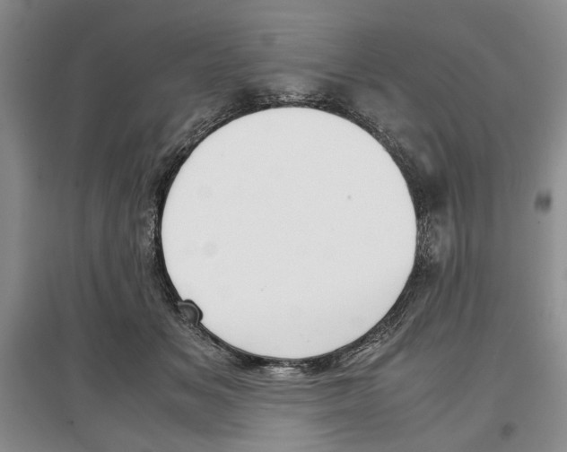 X0000097300509200803141535