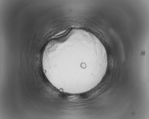 X0000097300511200803141535