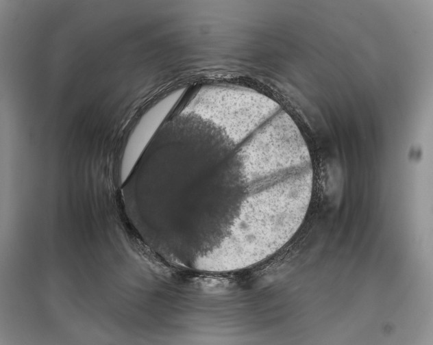 X0000097300512200803141535
