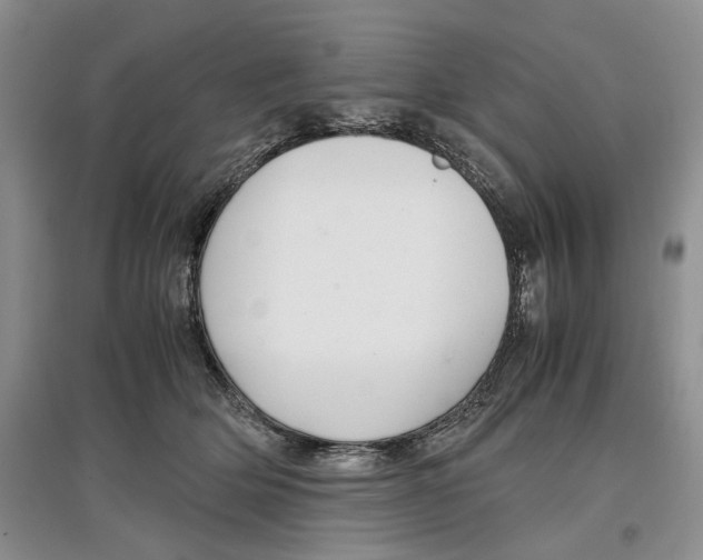 X0000097300514200803141535