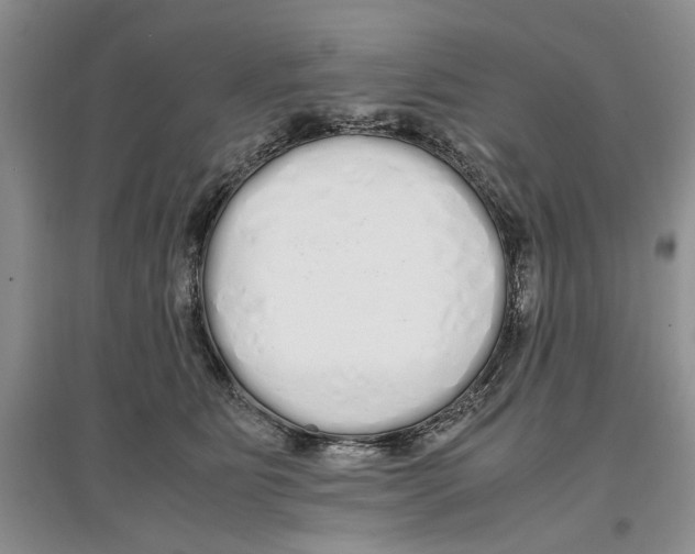X0000097300515200803141535
