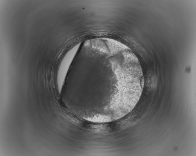 X0000097300516200803141535