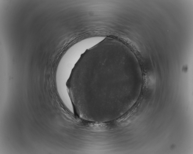 X0000097300517200803141535