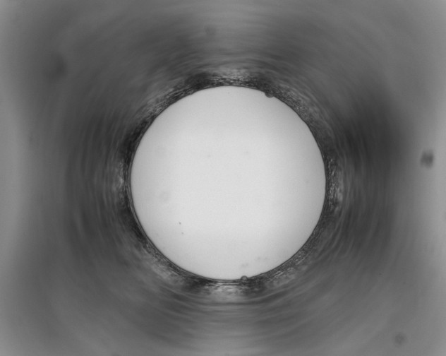 X0000097300518200803141535