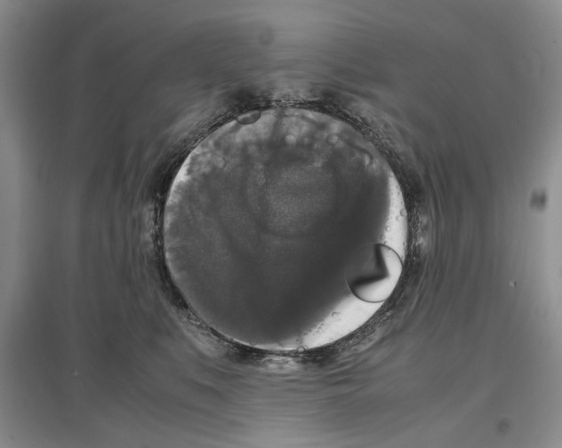 X0000097300519200803141535