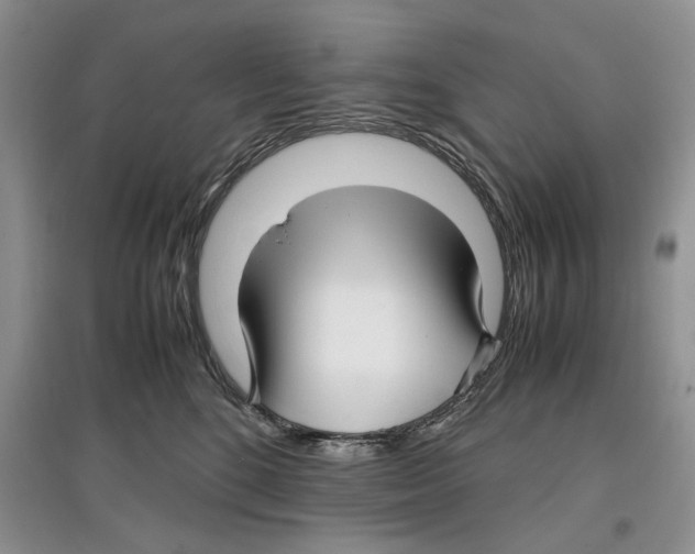 X0000097300520200803141535