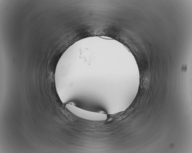 X0000097300521200803141535