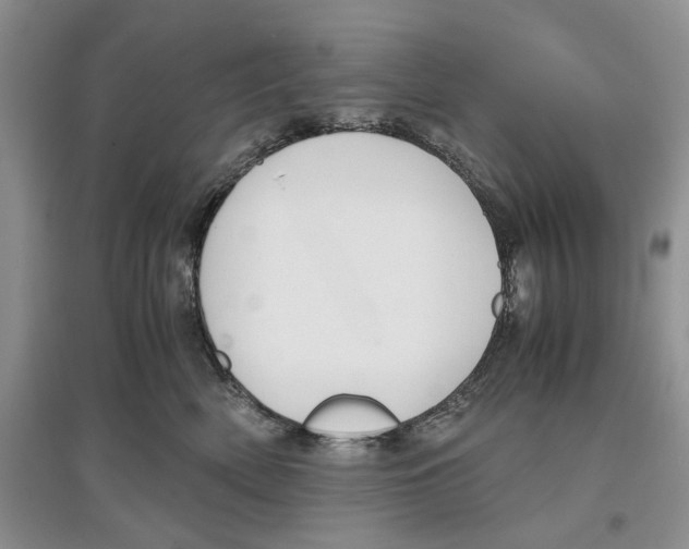 X0000097300522200803141535
